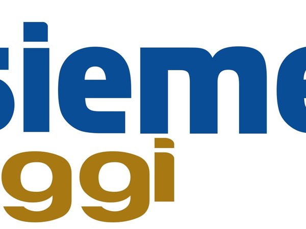 Gardaland Park per FITeL by Insieme Viaggi